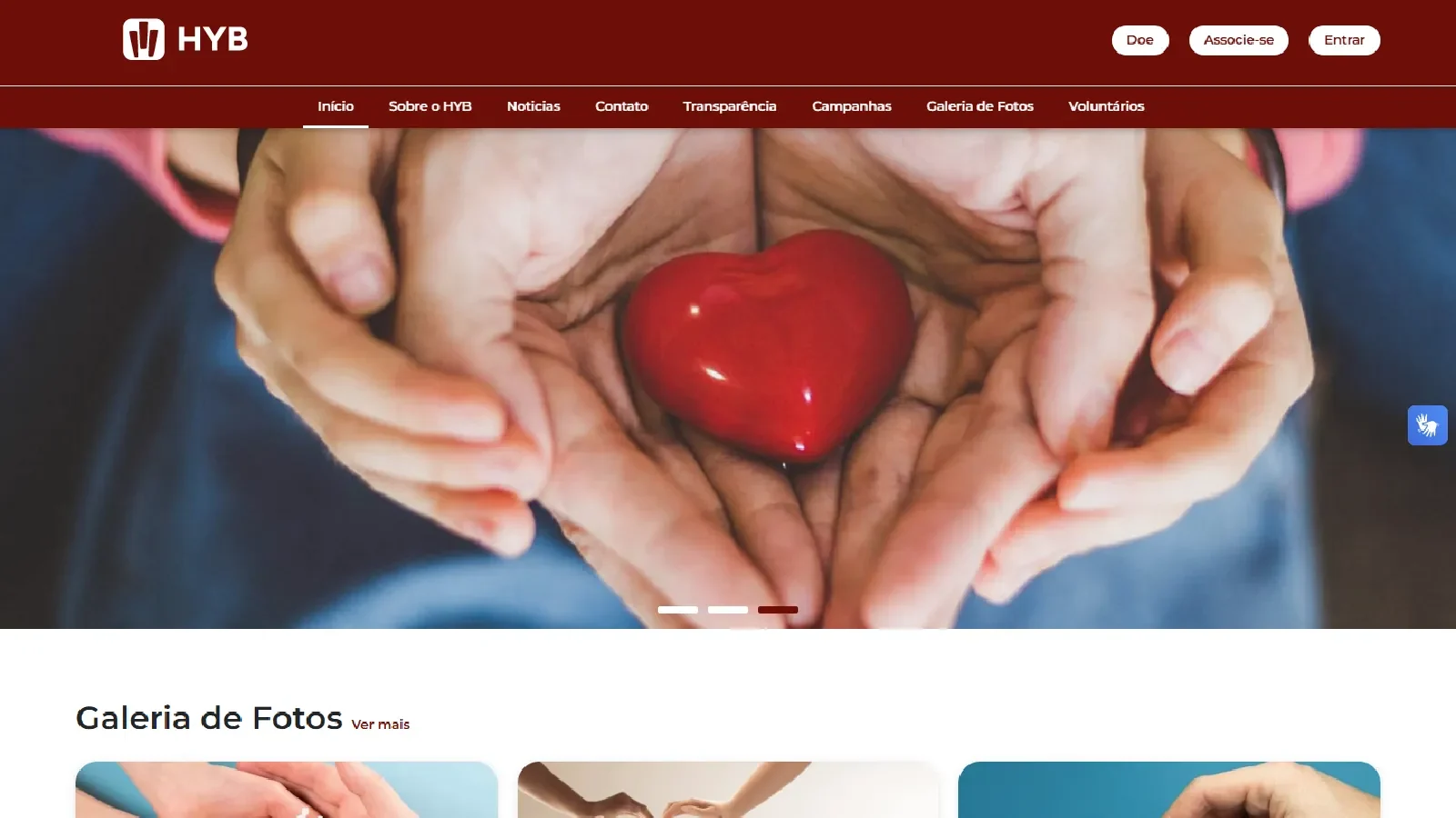 Site de uma entidade publicado pelo Meu Site: cabe�alho com logo e bot�es Doe, Associe-se e Entrar, menu com In�cio, Sobre, Not�cias, Contato, Transpar�ncia, Campanhas, Galeria de Fotos e Volunt�rios, e um banner com m�os segurando um cora��o
